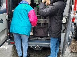 Sauvetage le 30.12.2020 -  8 galgas à Salamanca