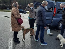 Sauvetage le 30.12.2020 -  8 galgas à Salamanca