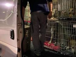 Sauvetage le 7 Mai 2021 de Nano - Villarobledo