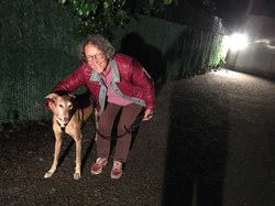 Sauvetage le 7 Mai 2021 de Nano - Villarobledo