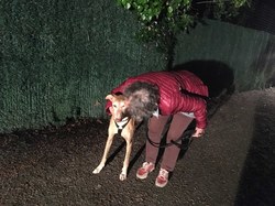 Sauvetage le 7 Mai 2021 de Nano - Villarobledo