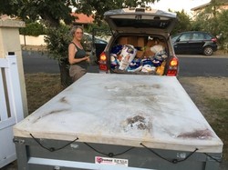 Sauvetage de 4 galgos les 18 & 19.07.2020 à Salamanca