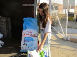 Sauvetage les 21 & 22.07.2022 Salamanca