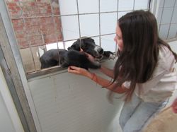 Sauvetage les 21 & 22.07.2022 Salamanca