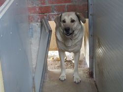 Sauvetage les 21 & 22.07.2022 Salamanca