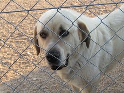 Sauvetage les 21 & 22.07.2022 Salamanca