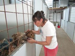 Sauvetage les 21 & 22.07.2022 Salamanca