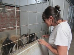 Sauvetage les 21 & 22.07.2022 Salamanca