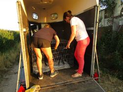 Sauvetage les 21 & 22.07.2022 Salamanca