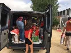 Sauvetage les 8 & 9.08.2020 de 7 galgos