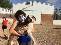 Sauvetage les 8 & 9.08.2020 de 7 galgos