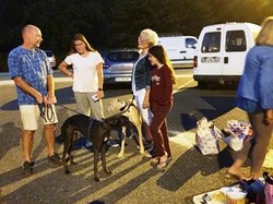 Sauvetage les 8 & 9.08.2020 de 7 galgos