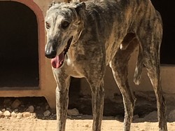 Sauvetage Villarobledo les 22 & 23.08.2019