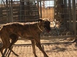 Sauvetage Villarobledo les 22 & 23.08.2019