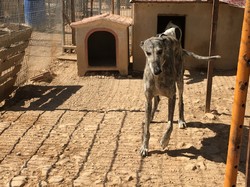 Sauvetage Villarobledo les 22 & 23.08.2019