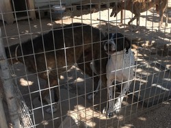 Sauvetage Villarobledo les 22 & 23.08.2019