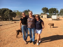 Sauvetage Villarobledo les 22 & 23.08.2019