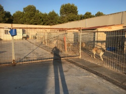 Sauvetage Villarobledo les 22 & 23.08.2019