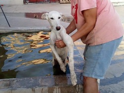 Sauvetage Villarobledo les 22 & 23.08.2019