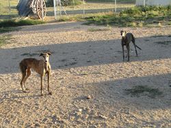 SENDA NATHUR les 13 & 14.07.2021