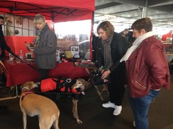 V/G du 13.03.2022 à St Médard en Jalles