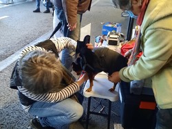 V/G du 13.03.2022 à St Médard en Jalles