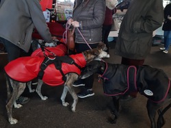 V/G du 13.03.2022 à St Médard en Jalles