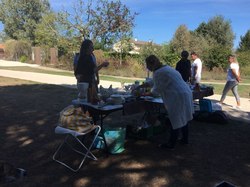 V/G du 18.09.2022 à St Médard en Jalles