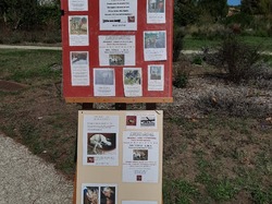 V/G du 18.09.2022 à St Médard en Jalles