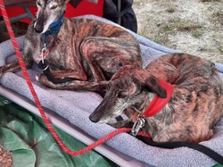 V/G le 26.06.2022 à la Teste de B.