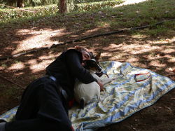 Vasconiales de St Sever 1 et 2/08/2015