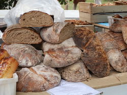 Vasconiales de St Sever 1 et 2/08/2015