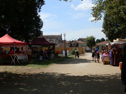 Vasconiales de St Sever 1 et 2/08/2015