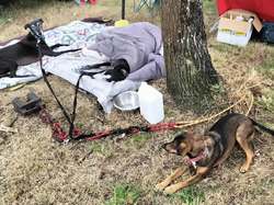 VG La Teste le 06.07.2025