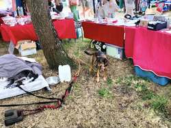 VG La Teste le 06.07.2025