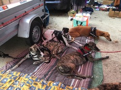 Vide-grenier à Audenge le 15.10.2019