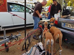 Vide-grenier à Audenge le 13.10.2018