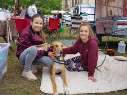 Vide-grenier à Audenge le 15.06.2019