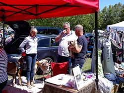 Vide-grenier à Audenge le 15.06.2019