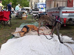 Vide-grenier à Audenge le 15.06.2019