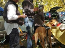 Vide-grenier à Audenge le 15.10.2016
