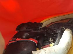 Vide-grenier à Audenge le 15.10.2016