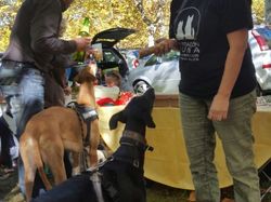 Vide-grenier à Audenge le 15.10.2016