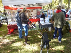 Vide-grenier à Audenge le 15.10.2016