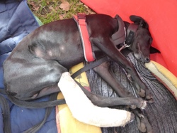 Vide-grenier à Audenge le 15.10.2016