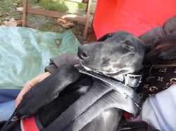 Vide-grenier à Audenge le 15.10.2016