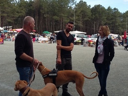 Vide grenier à la Teste de Buch le 14.05.2017