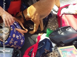 Vide grenier à la Teste de Buch le 14.05.2017