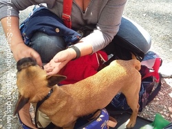 Vide grenier à la Teste de Buch le 14.05.2017