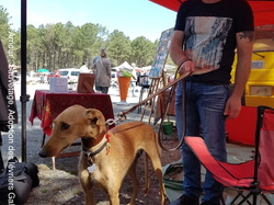 Vide grenier à la Teste de Buch le 14.05.2017